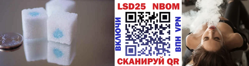 omg ссылки Аргун LSD-25 экстази ecstasy закладки