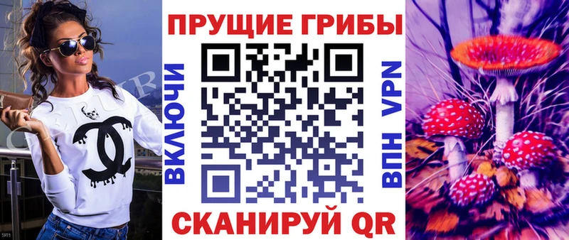 Псилоцибиновые грибы мицелий  Аргун 